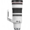 Canon RF 100-300mm f/2.8L IS USM Lens - view 2